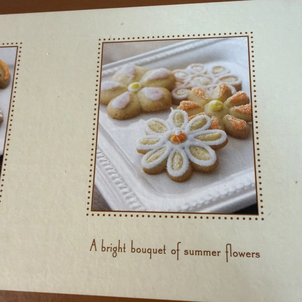 New Williams Sonoma Extra Large Ergonomic Cookie Press 16 Shape Disks Holiday Se